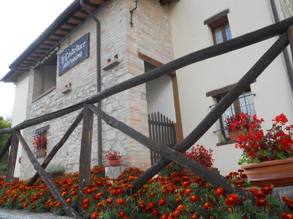 Agriturismo Le Castellare Монтемонако Экстерьер фото