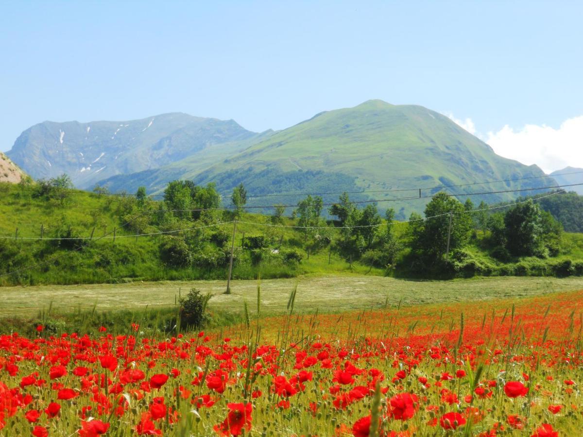 Agriturismo Le Castellare Монтемонако Экстерьер фото