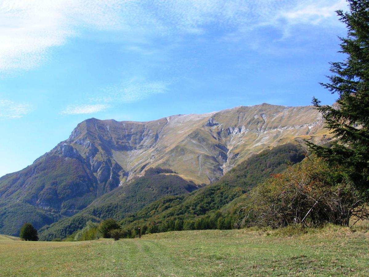 Agriturismo Le Castellare Монтемонако Экстерьер фото