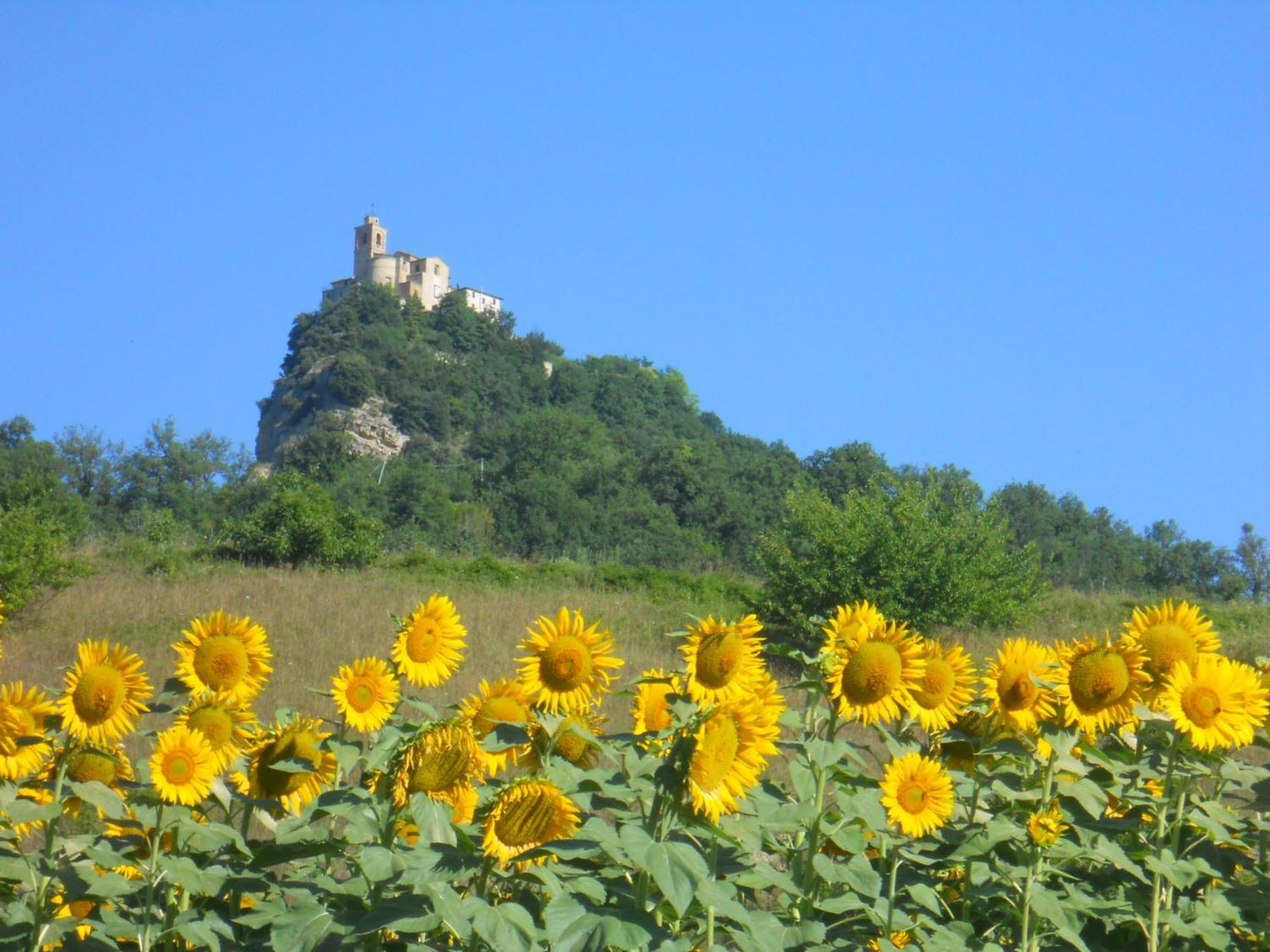 Agriturismo Le Castellare Монтемонако Экстерьер фото