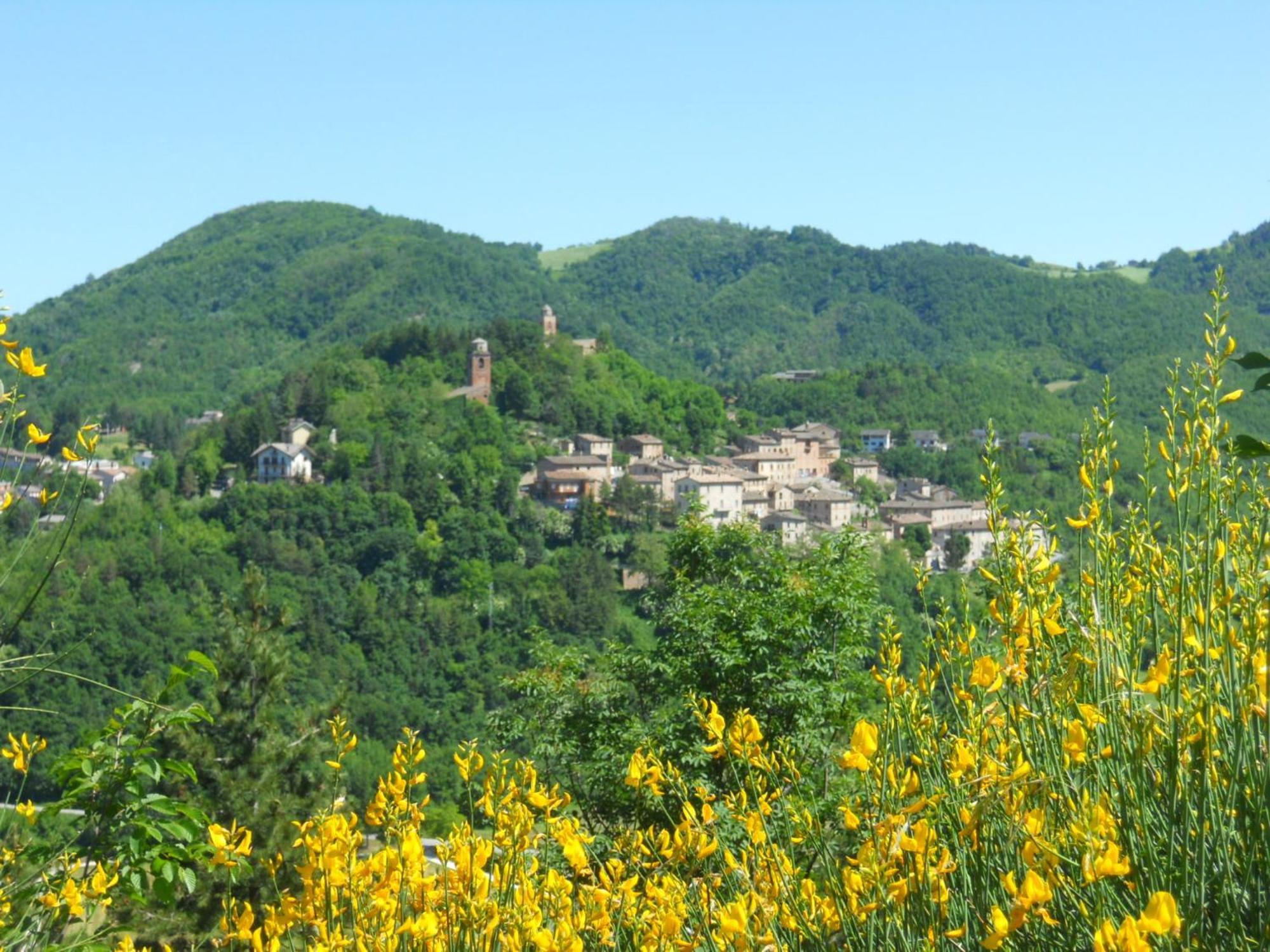 Agriturismo Le Castellare Монтемонако Экстерьер фото