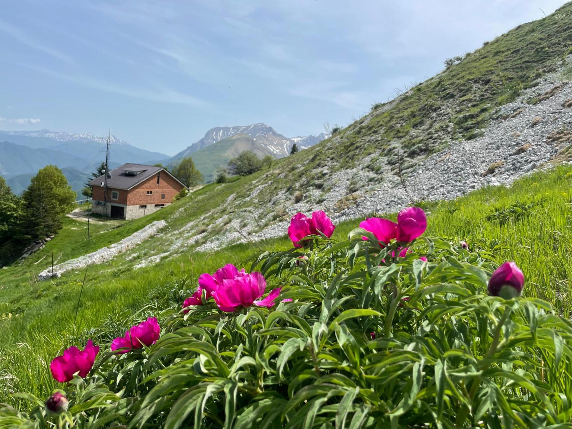 Agriturismo Le Castellare Монтемонако Экстерьер фото