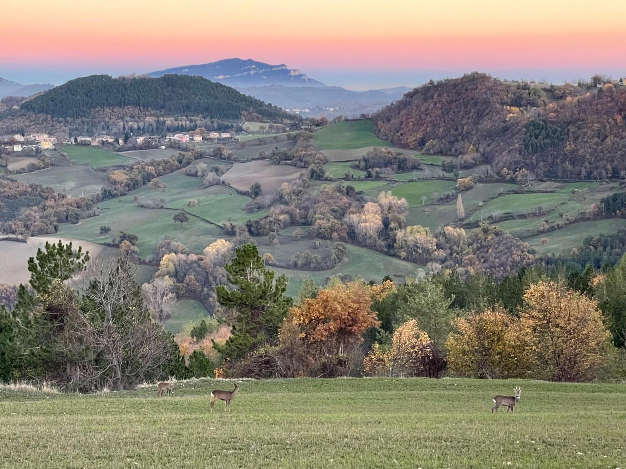 Agriturismo Le Castellare Монтемонако Экстерьер фото