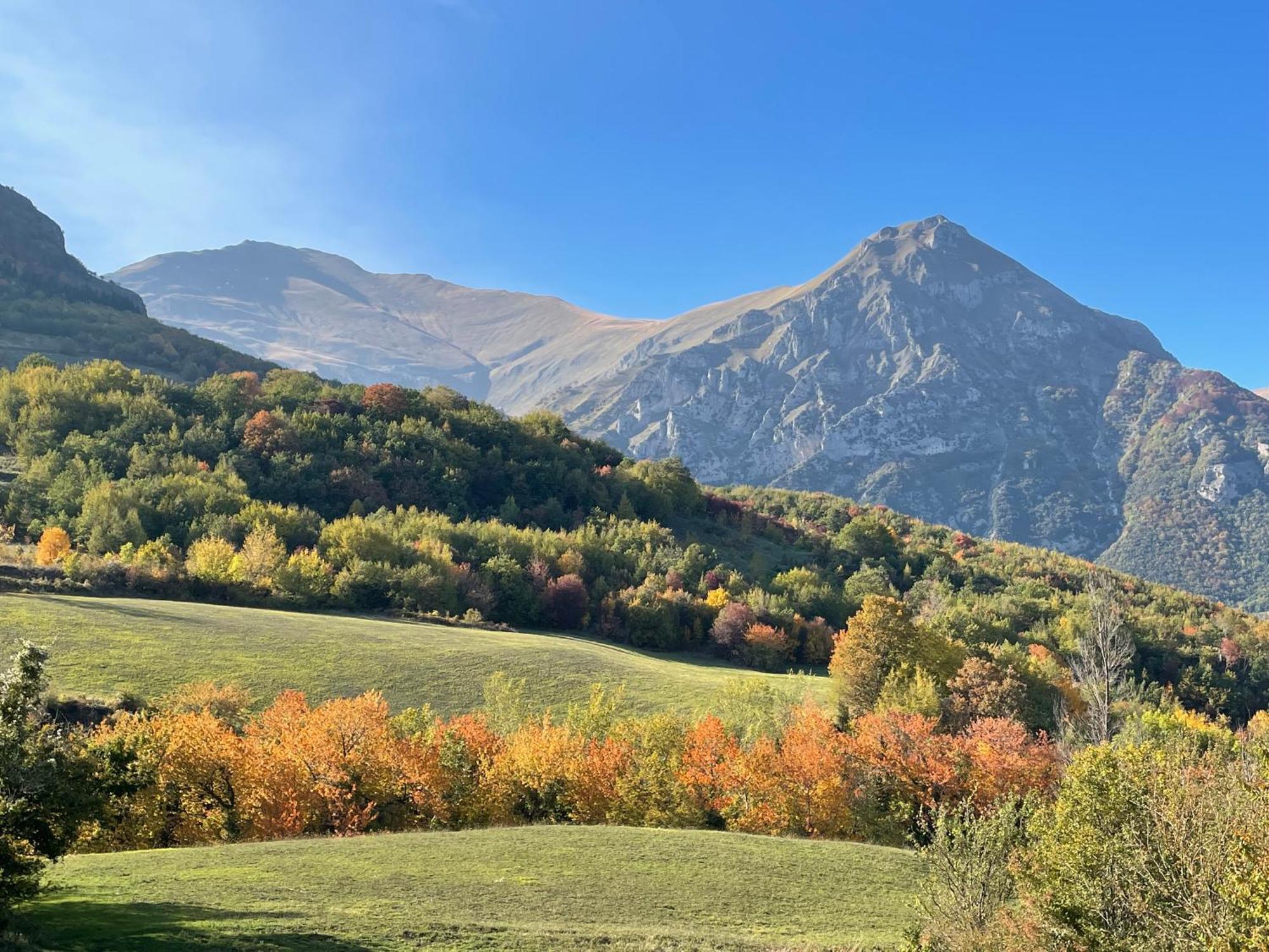 Agriturismo Le Castellare Монтемонако Экстерьер фото