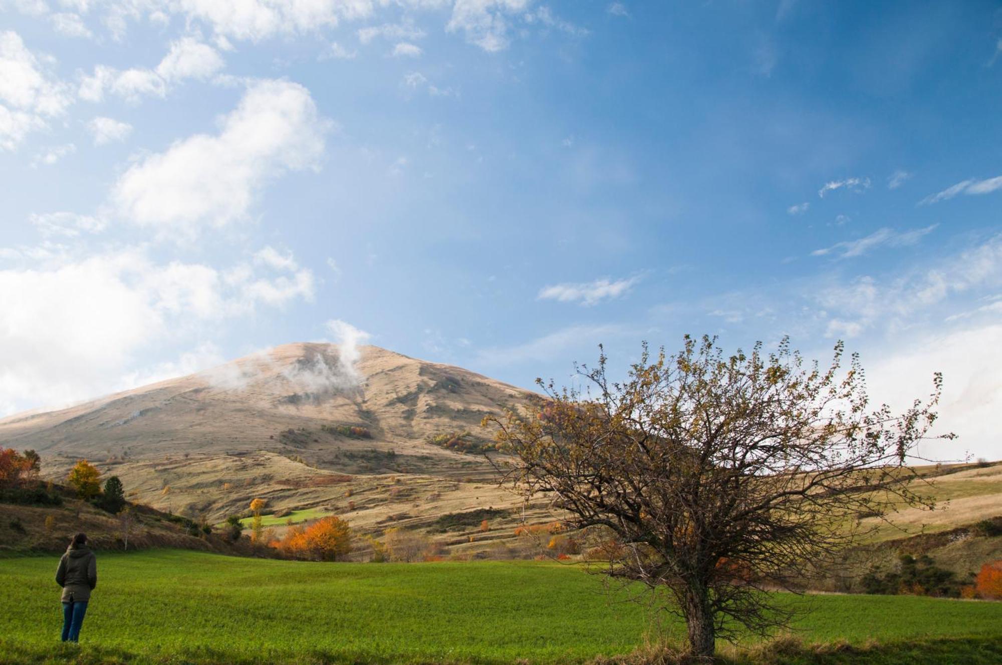 Agriturismo Le Castellare Монтемонако Экстерьер фото
