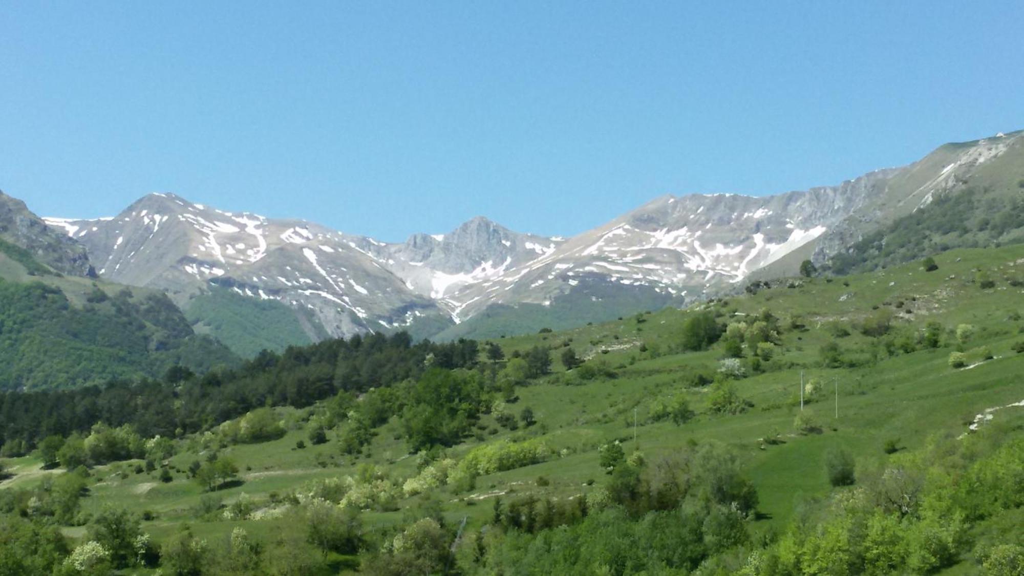 Agriturismo Le Castellare Монтемонако Экстерьер фото